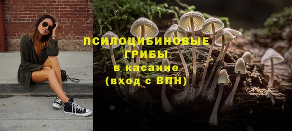 ГАЛЛЮЦИНОГЕННЫЕ ГРИБЫ Лихославль