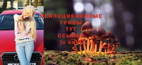 бошки Алексеевка