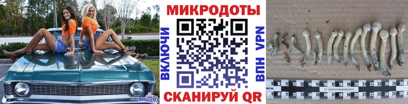 mega   Вихоревка  Псилоцибиновые грибы ЛСД  что такое  